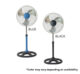 Asahi Pf830 Color Vary