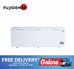 Fujidenzo FC29ADF2