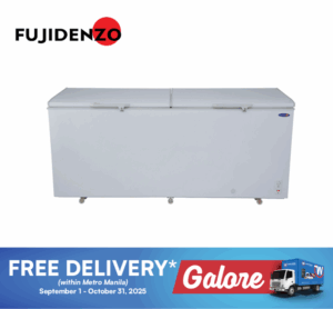 Fujidenzo FC22GDF2