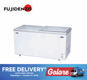 Fujidenzo IFD22GDF2