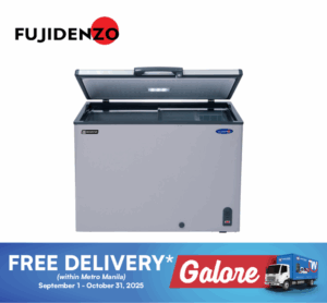 Fujidenzo IFCG95PDFSL