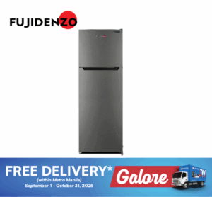 Fujidenzo IRD80MS