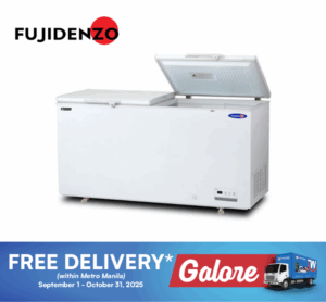 Fujidenzo IFC26GDF
