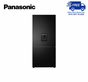 Panasonic NRBX421GPKP