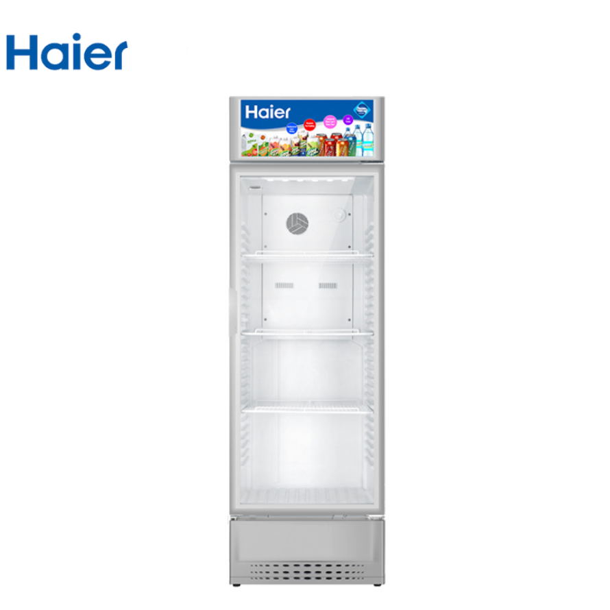 Haier SC309
