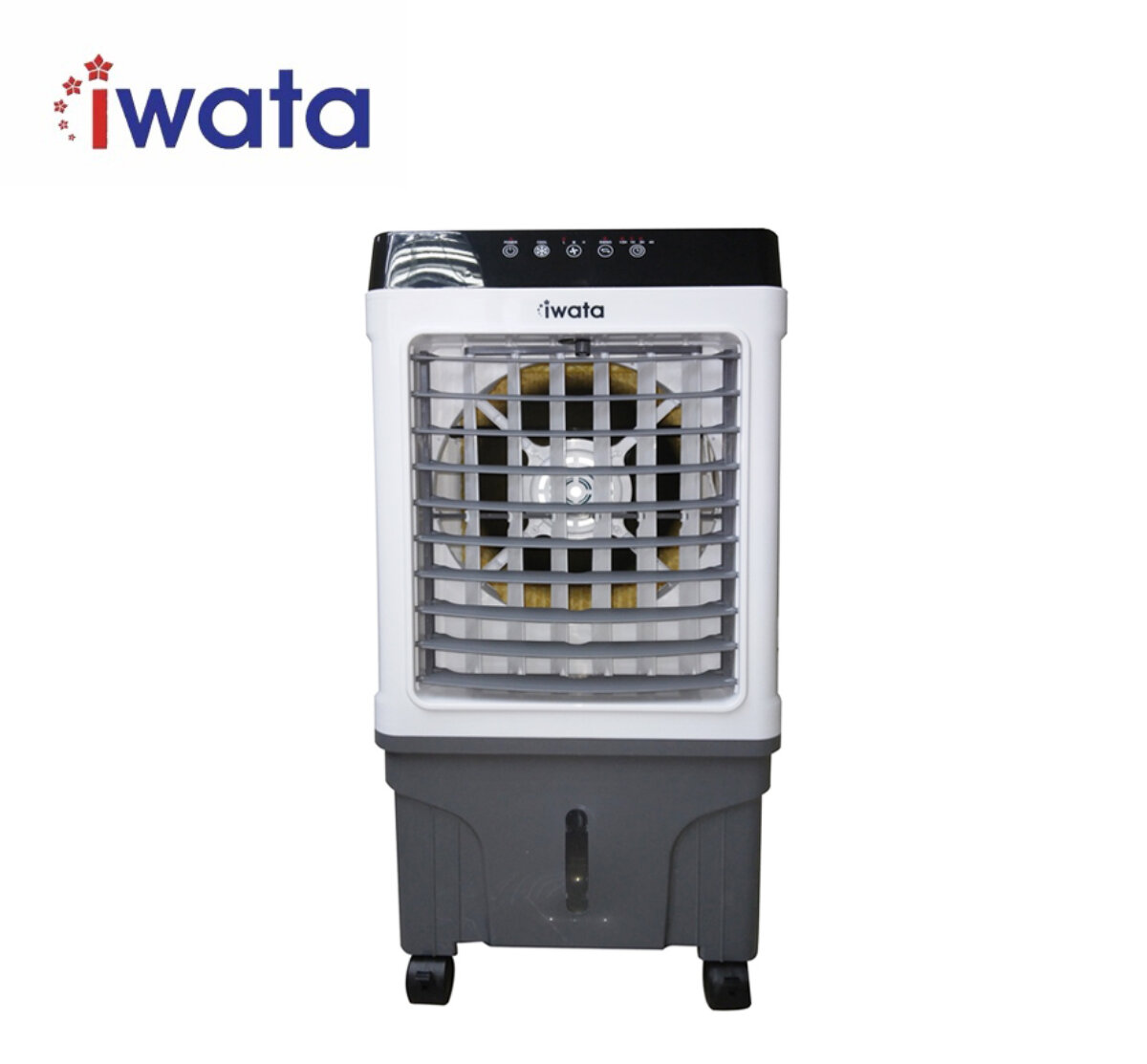 Iwata air clearance cooler price