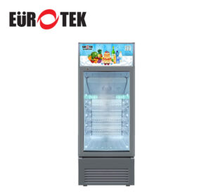 Website Eurotek Egs180is