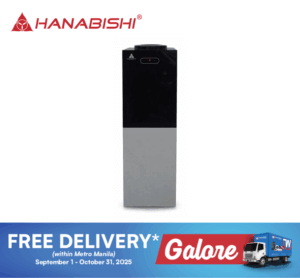 Hanabishi HFSWD2500