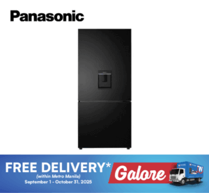 Panasonic NRBX421GPKP