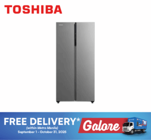 Toshiba GRRS600WIPMH