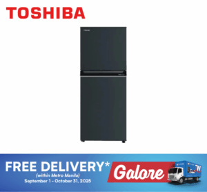 Toshiba GRRT252WEPMH