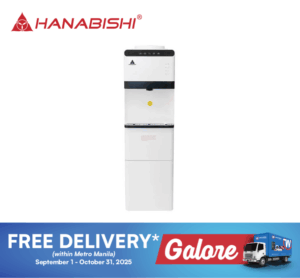 Hanabishi HFSWDICEM4500