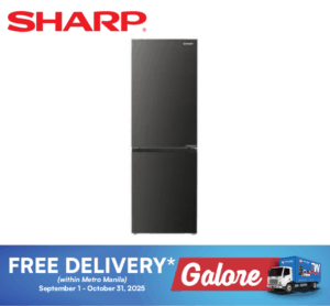 Sharp SJFLS10CVPNG