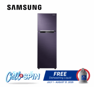 Samsung RT25FARBDUT