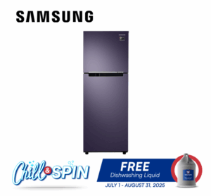 Samsung RT22M4033UT