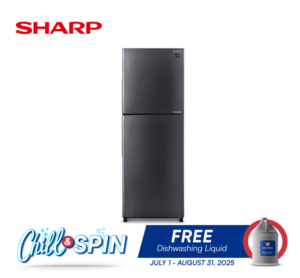Sharp SJFTS11BVS DS