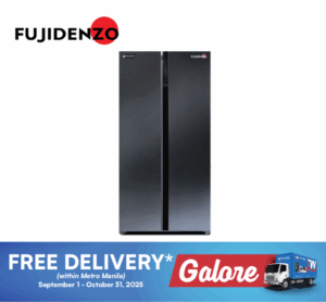 Fujidenzo ISR20DS