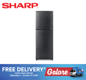 Sharp SJFTS11BVS DS