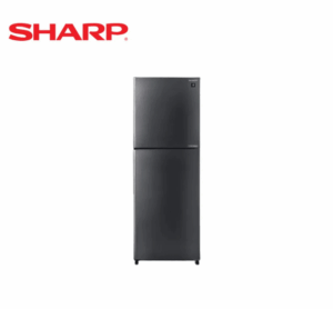Sharp SJFTS11BVS DS