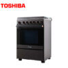 TOSHIBA_RL290G5GEMR