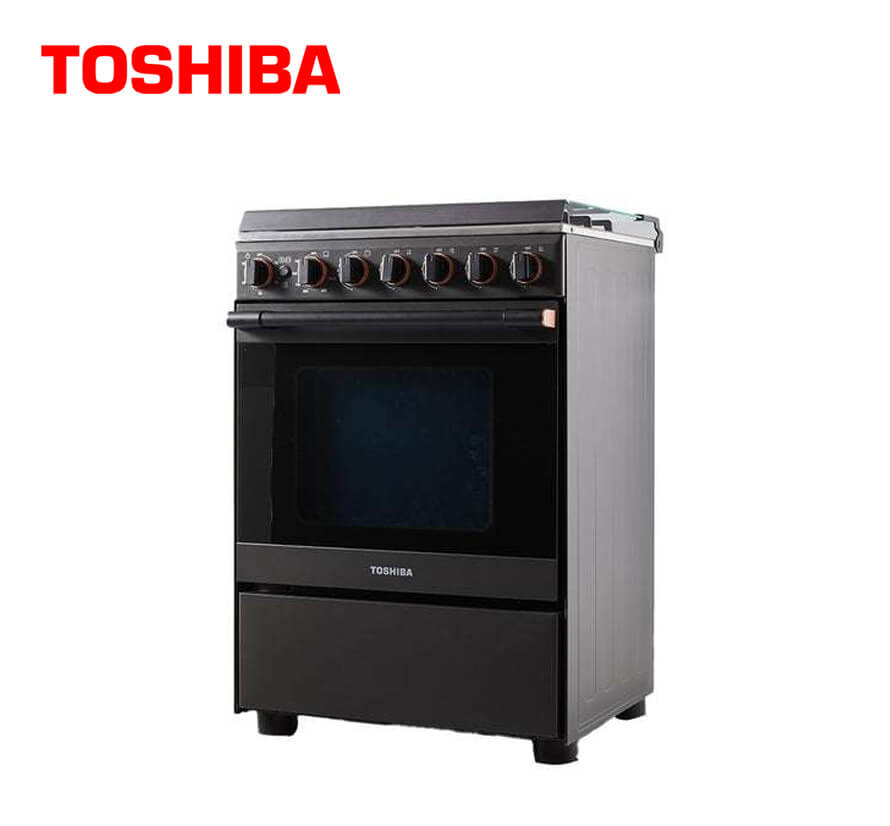 TOSHIBA_RL290G5GEMR