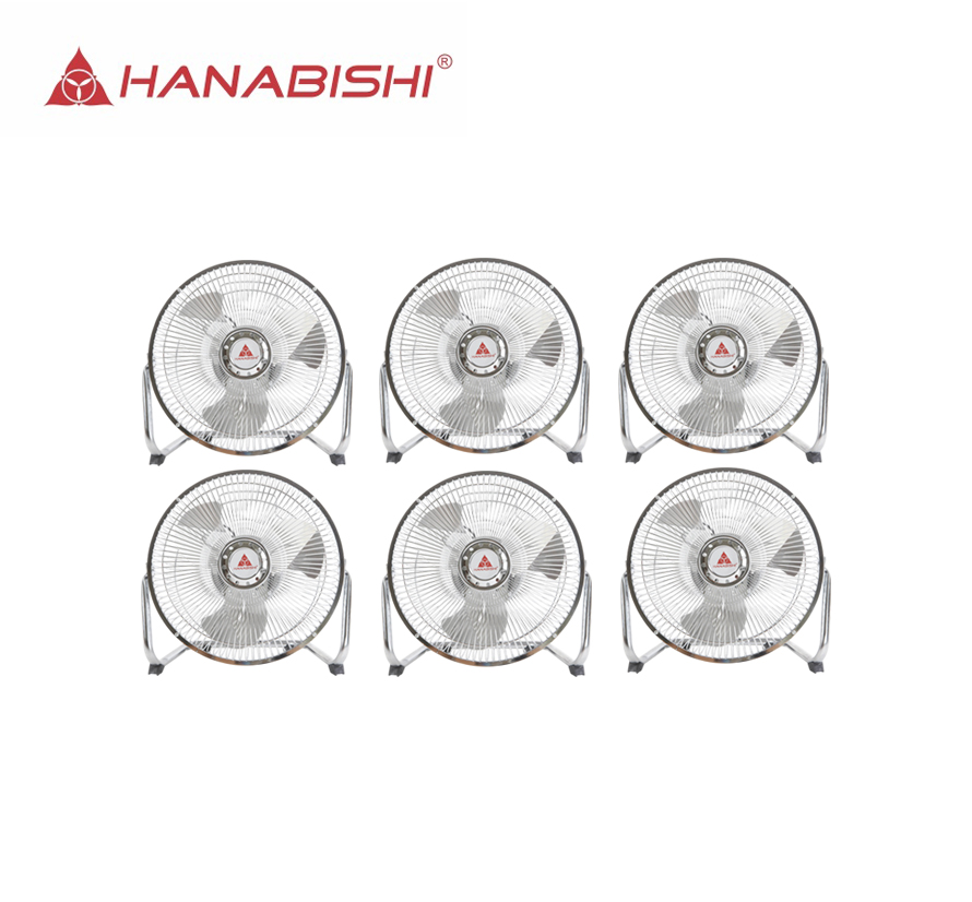 HANABISHI_HIFF900