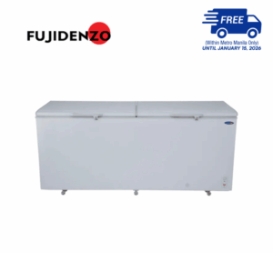 Fujidenzo FC22GDF2