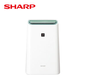 Sharp DWE16FPW