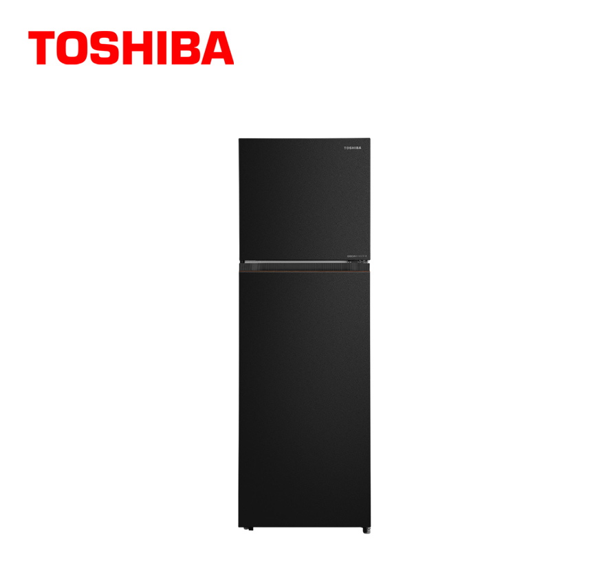 TOSHIBA_GRRT349WEPMH68